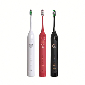 New Product Ideas Sonic Electric Toothbrush Private Adult Using Ip67 Automatic Electrictoothbrush